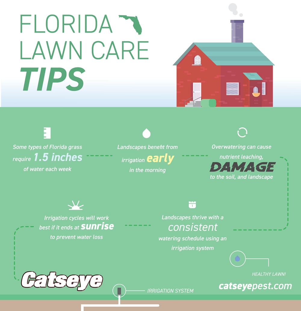 green and white infographic with lawn care tips for florida homeowners