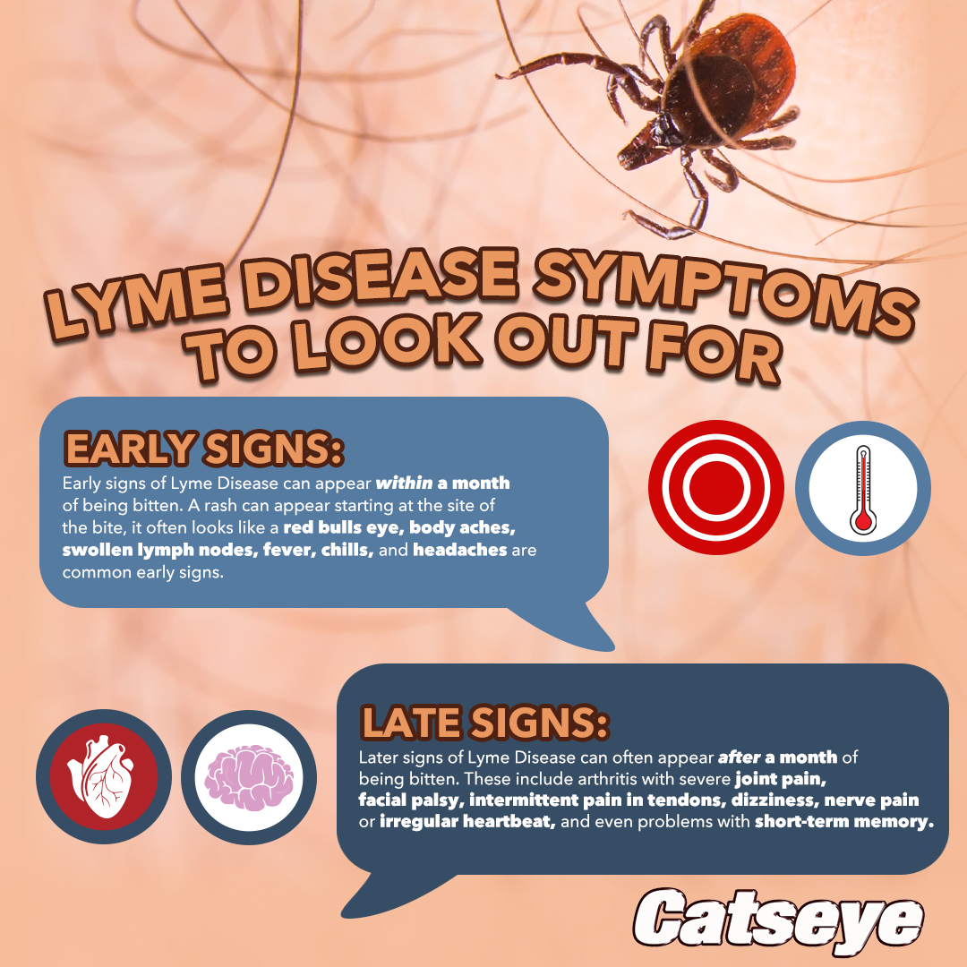 infographic discussing the signs and symptoms of Lyme disease