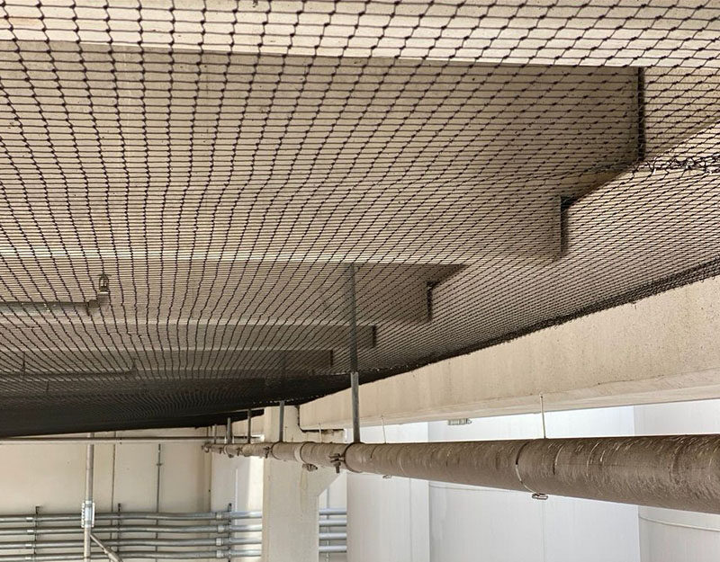 Ceiling of a manufacturing plant after a Cat-Guard Exclusion System is installed to keep out birds and wildlife