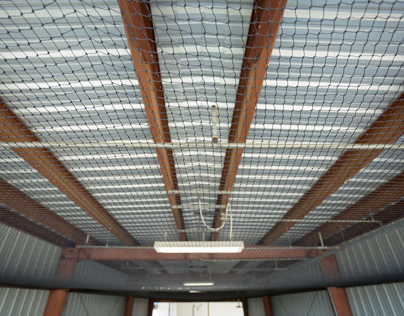 Ceiling of a warehouse after a Cat-Guard Exclusion System with large net is installed to keep out birds and wildlife