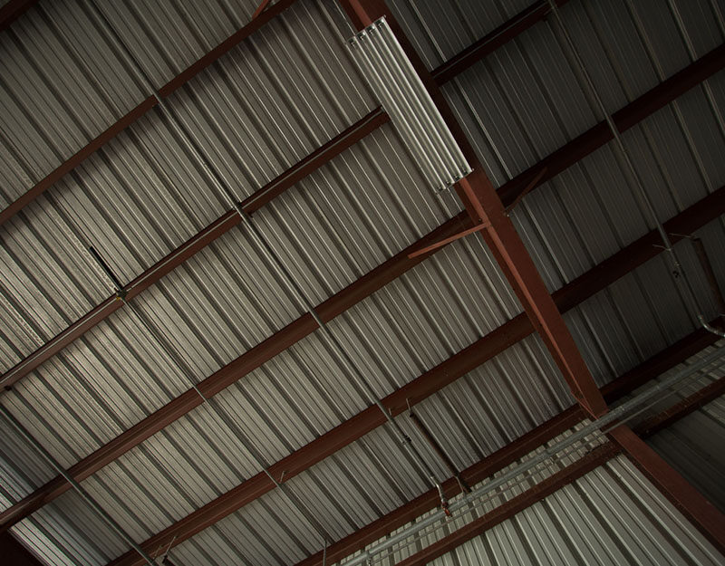 Ceiling of a warehouse before a Cat-Guard Exclusion System is installed to keep out birds and wildlife