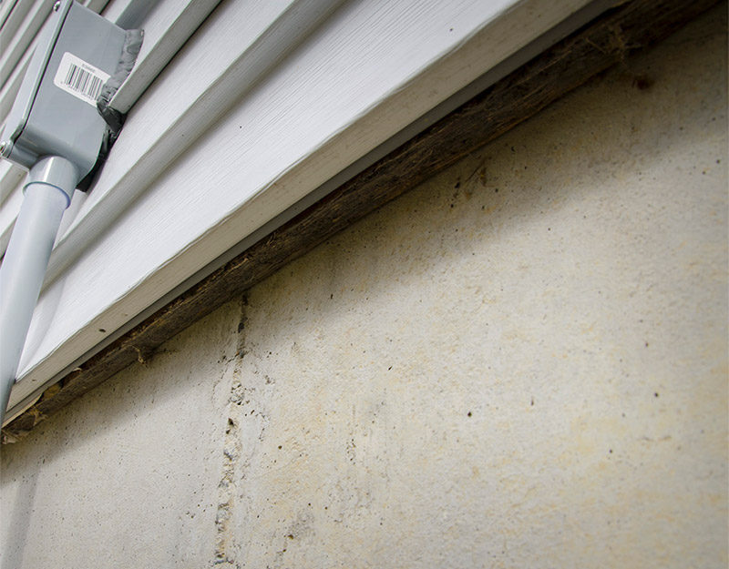 Bottom of siding of house before Lower Cat-Guard Exclusion Systems are installed to keep rodents and wildlife out