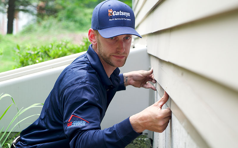 Catseye technician completing a Lower Cat Guard installation on the side of a tan house to exclude wildlife