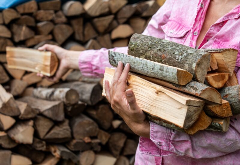 woman in a pink button-down shirt gathers firewood from a pile