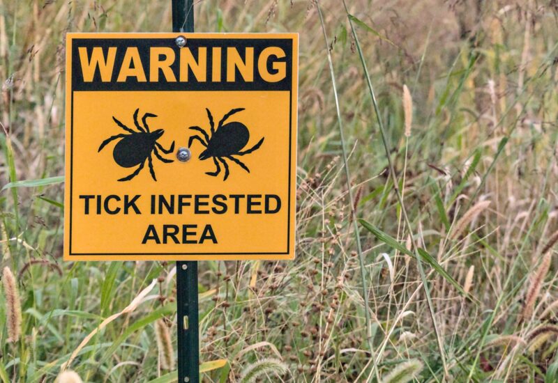 yellow and black sign warning the grassy landscape is a tick infested area; picture of two ticks on the sign
